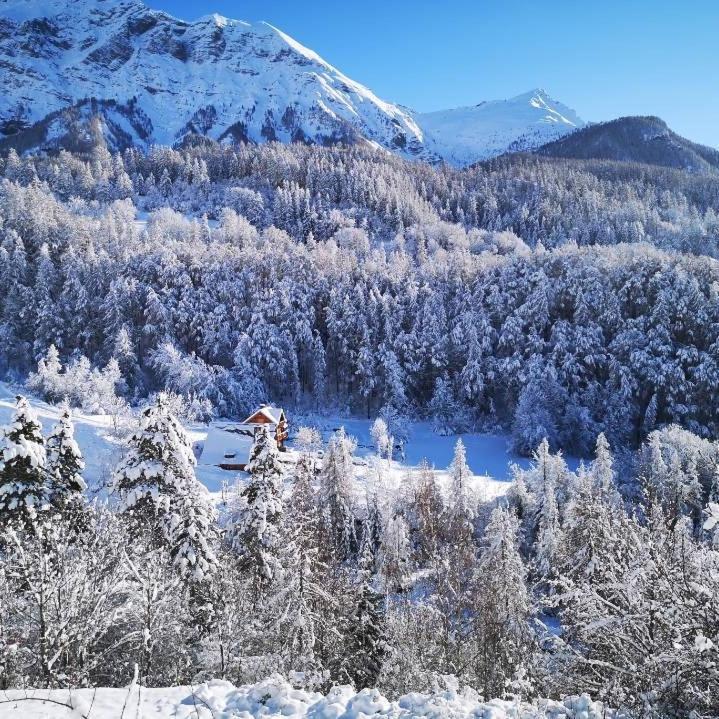 Chalet De Pont Peyron L'Ours Орсьер Экстерьер фото
